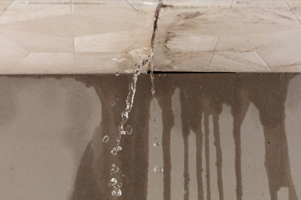 Professional Water Damage Repair technician working in Kings Park, VA